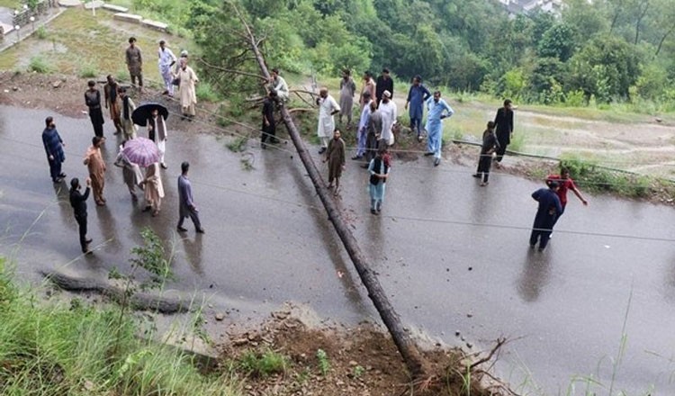 পাকিস্তান বন্যা-ভূমিধসে বিপর্যস্ত, কেপিতেই নিহত ৩০৭ জন