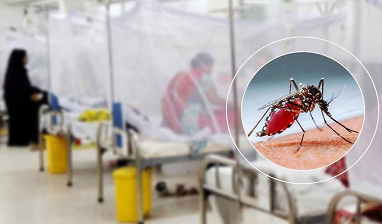 গত ২৪ ঘণ্টায় দেশে ৬ জনের মৃত্যু