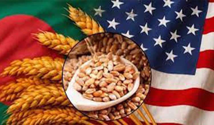 সরকারিভাবে আমদানিকৃত গম আসতে শুরু করেছে যুক্তরাষ্ট্র থেকে