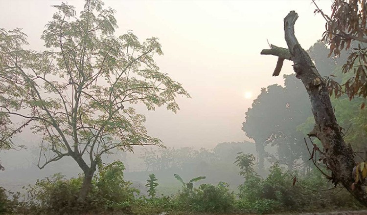কয়েকটি অঞ্চলে পড়তে পারে হালকা থেকে মাঝারি কুয়াশা