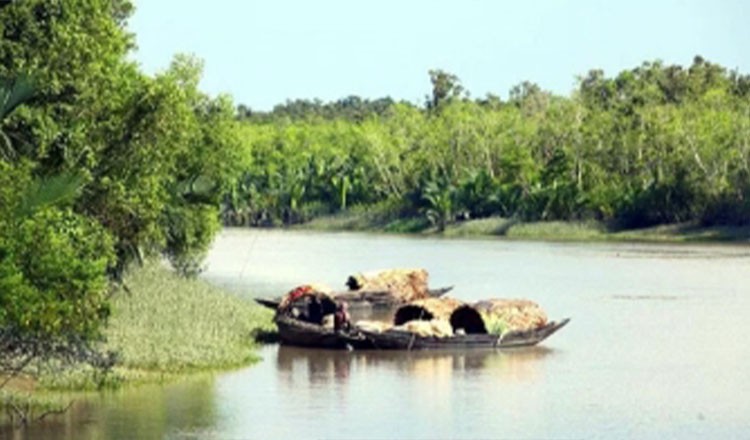 সরকার সুন্দরবনের ইসিএ এলাকার মধ্যে শিল্প প্রতিষ্ঠান স্থাপন নিষিদ্ধ করছে : পরিবেশ উপদেষ্টা
