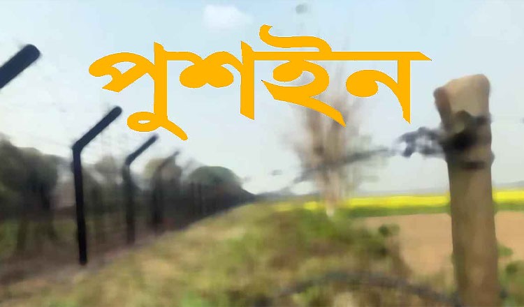 সিলেট এবং সুনামগঞ্জ সীমান্তে ৭০ জনকে পুশ ইন বিএসএফ