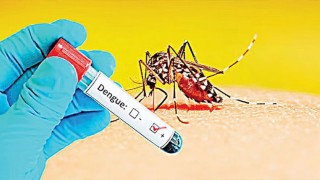 দেশজুড়ে ডেঙ্গুতে আরও ৪ জনের মৃত্যু, ভর্তি ৮০৩