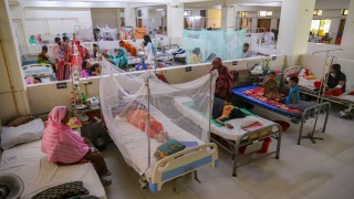 ডেঙ্গু আক্রান্ত হাসপাতালে ভর্তি ৮৩৪, মৃত্যুর খবর নেই