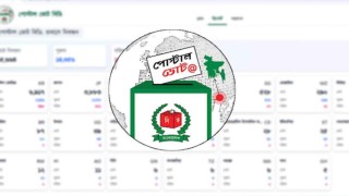পোস্টাল ভোট কার্যক্রমে ৬ লাখ ৭৭ হাজার প্রবাসীর কাছে ব্যালট