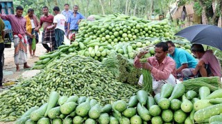 স্বস্তি ফিরেছে বাজারে শীতকালীন সবজিতে