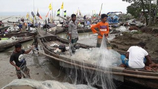 আজ মধ্যরাতে ইলিশ শিকার শুরু উপকূলীয় এলাকার নদ-নদীতে