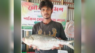 এক ইলিশের এত দাম!