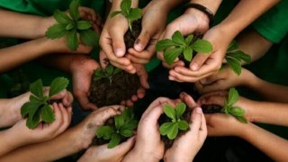 উন্নয়নের ধারা টেকসই করতে প্রচুর গাছ লাগাতে হবে : পরিবেশ উপদেষ্টা