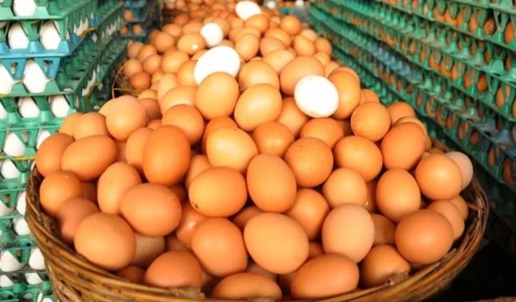 ডিম নিয়ে কারসাজি, দুই প্রতিষ্ঠানকে সাড়ে ৩ কোটি টাকা জরিমানা