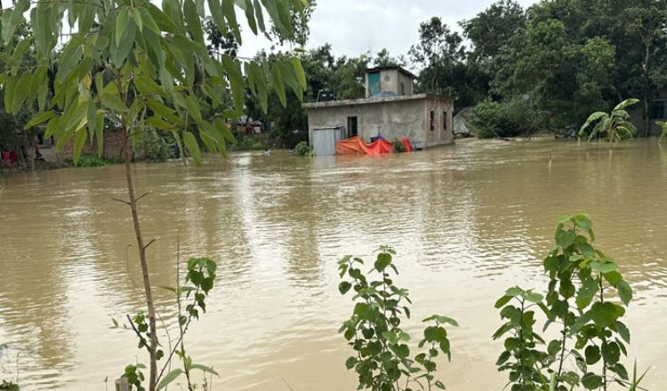 দুই উপজেলায় ভয়াবহ বন্যা, এইচএসসি পরীক্ষা স্থগিত
