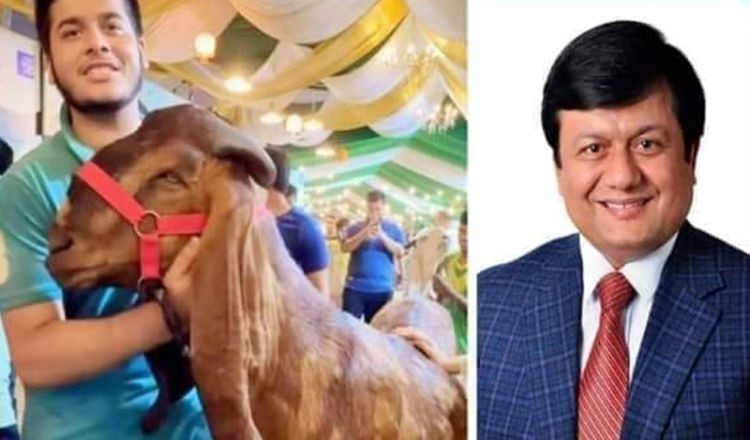 যেসব অপরাধ করেছেন সেই মতিউর   