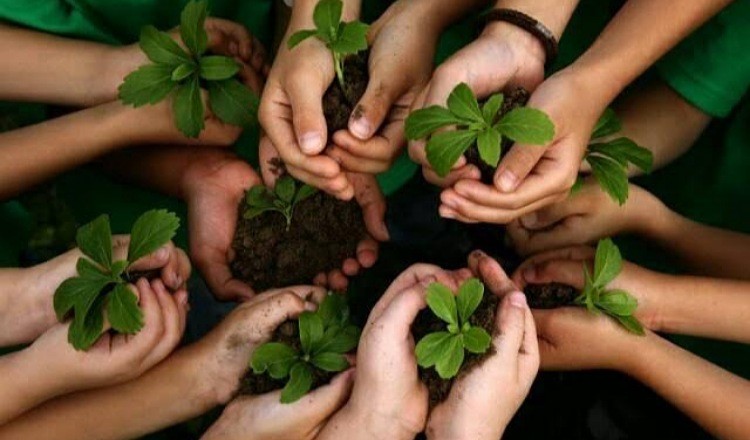 উন্নয়নের ধারা টেকসই করতে প্রচুর গাছ লাগাতে হবে : পরিবেশ উপদেষ্টা