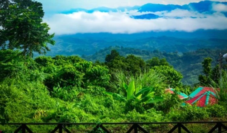 তিন শতাধিক পর্যটক আটকা পড়েছেন সাজেকে