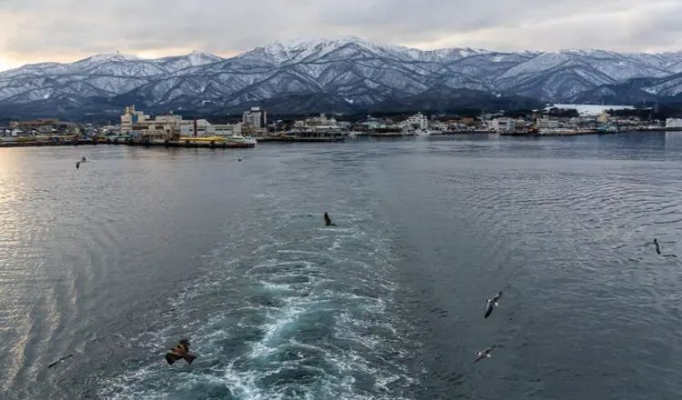 জাপানে সুনামির আঘাত, দেড় ঘণ্টায় ২১ বার কম্পন