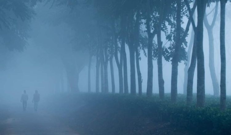 পাঁচ বিভাগে হতে পারে বৃষ্টি